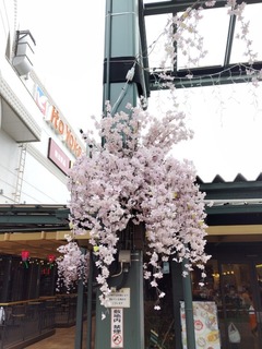 IMG_0929.jpeg