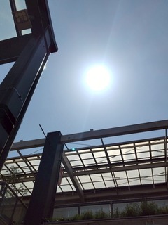 IMG_1536-a042f.jpeg