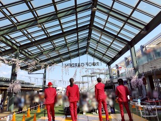IMG_1609.jpeg
