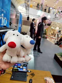 IMG_1775-86c24.jpeg
